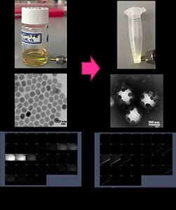 Development of Novel Therapeutic Strategy Using Iron Targeted Upconversion Nanoparticles for Parkinson's Disease