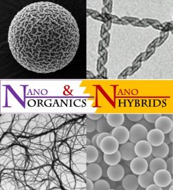 Nano-Organics and Nano-Hybrids